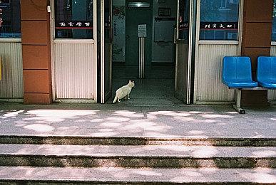 《热血少女2》「双截龙DLC」Steam页面 11月13日发售